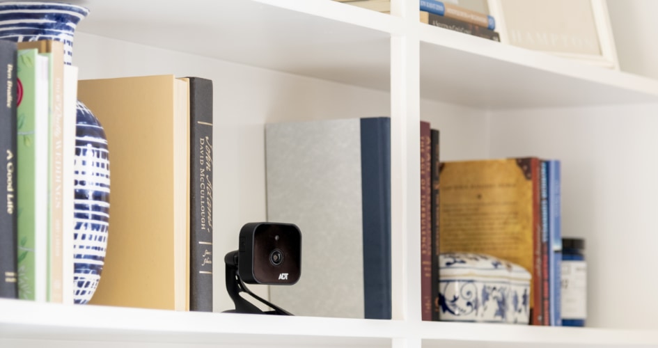 adt Indoor security cameras in Lakeland