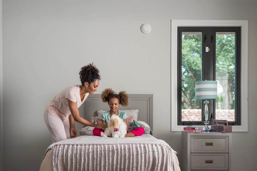 smoke & carbon detector Lakeland